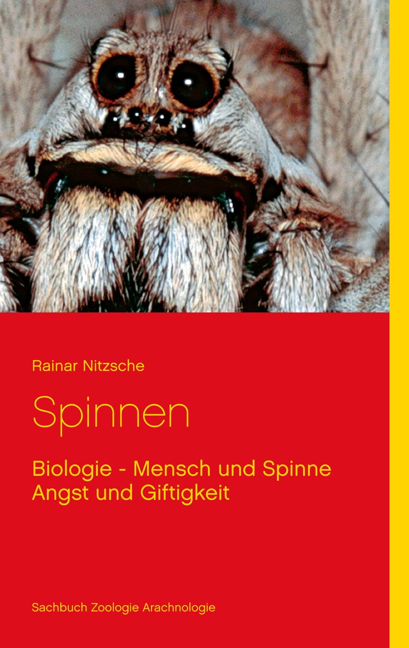 media/pim/45_metadata-image-65517857.jpeg