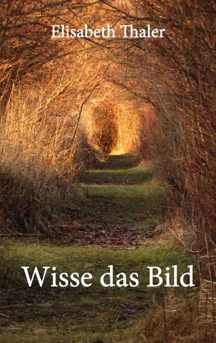 media/pim/46_bbed70e2-e804-4e58-afd0-5781b94c755c.jpeg