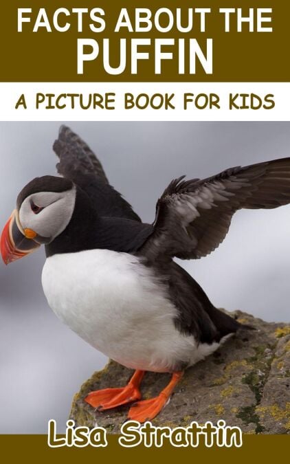 media/pim/46_f38f95c8-3a32-4b2f-93e0-522da233f1f8.jpeg