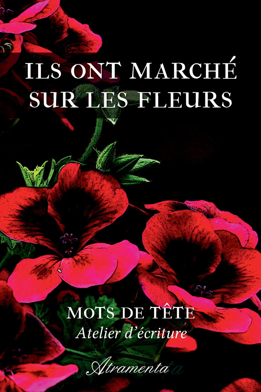 media/pim/46_metadata-image-36533649.png