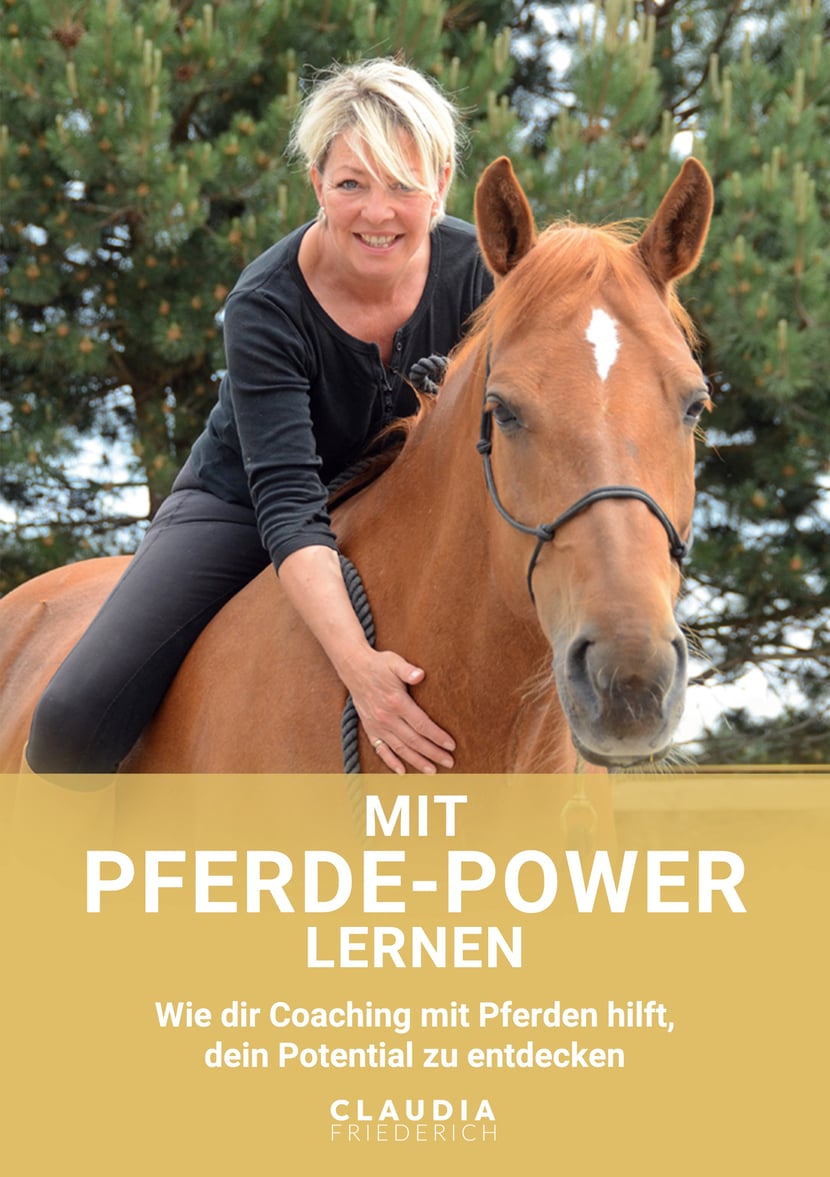 media/pim/46_metadata-image-60337461.jpeg