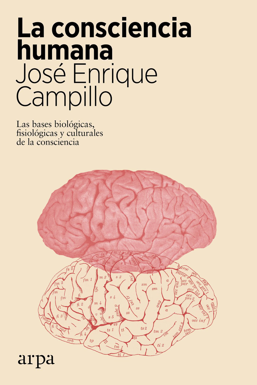 media/pim/46_metadata-image-66297312.jpeg
