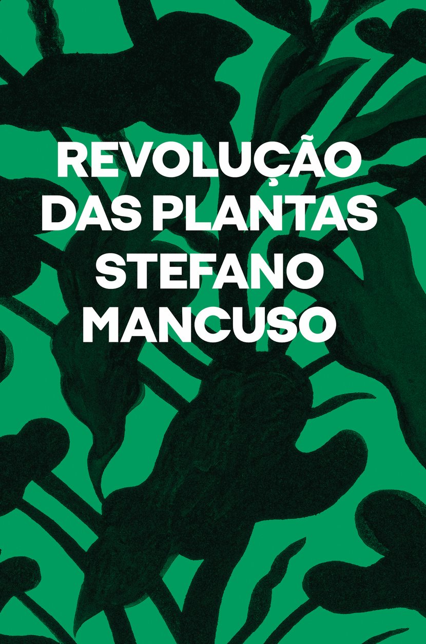 media/pim/46_metadata-image-66848296.jpeg