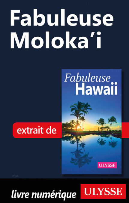media/pim/47_1cabd927-56d5-4f30-954d-a65913932cdd.jpeg