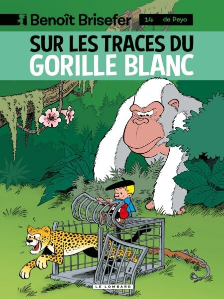media/pim/47_3297d7e7-3407-4622-975b-87e78661452a.jpeg