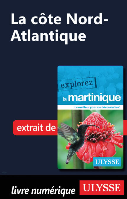 media/pim/47_73ab17c3-9d1a-4587-997c-2c5b09f92562.jpeg