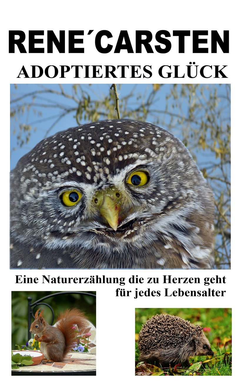 media/pim/47_metadata-image-43375381.jpeg