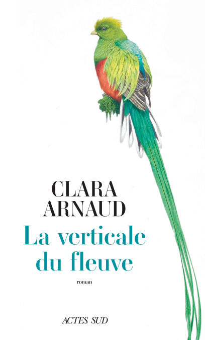 media/pim/48_66371de3-6e39-4eae-af25-8e43c7276829.jpeg