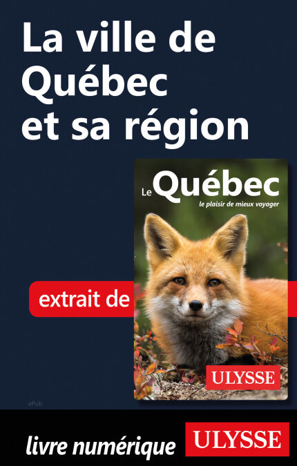 media/pim/48_678df182-7a73-420c-a56b-6c4256c09f5e.jpeg