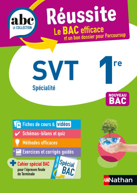 media/pim/48_87d3c2c6-a4a8-4d44-be46-1177309070f9.jpeg