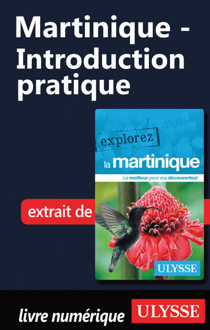 media/pim/48_cb2bf887-7a2c-439b-93da-12f75435047f.jpeg
