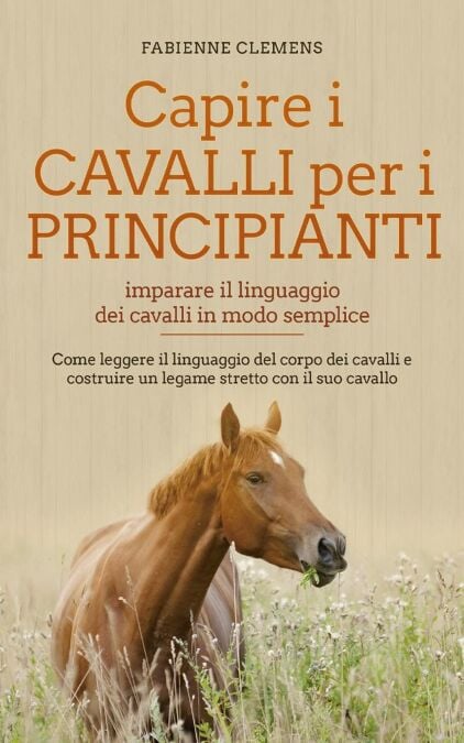 media/pim/48_e46a5949-fecf-4f31-b014-83beddbad42e.jpeg