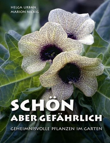 media/pim/48_metadata-image-22407755.jpeg