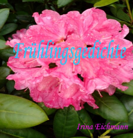 media/pim/48_metadata-image-31585106.jpeg