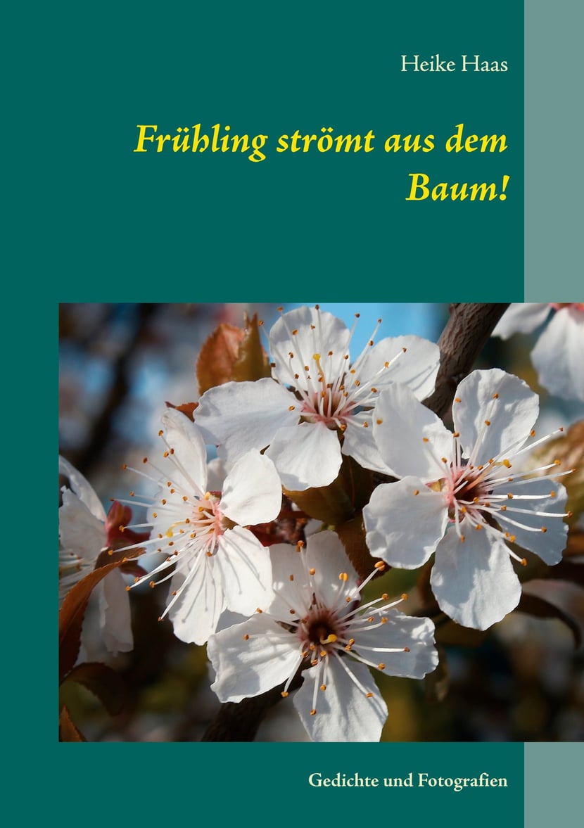 media/pim/48_metadata-image-47504653.jpeg