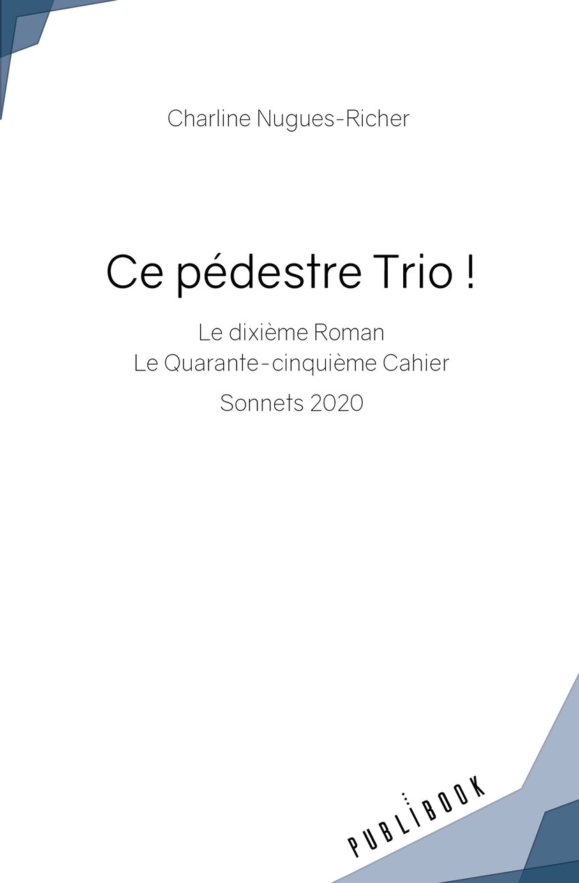 media/pim/4941996_image_type_product_shot_PUBLIBOOK_1_FR_a7c90