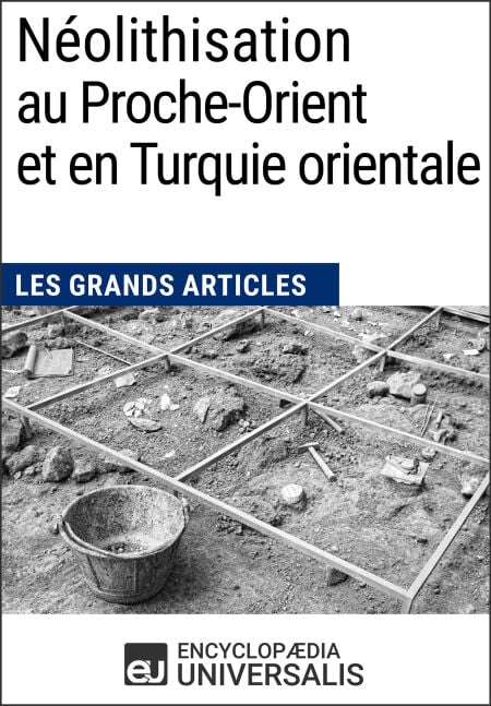 media/pim/49_078c0e1d-c927-488d-85b0-41730db8693a.jpeg