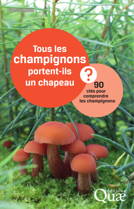 media/pim/49_26a55c21-20f3-4545-959f-b40bb8342b99.jpeg
