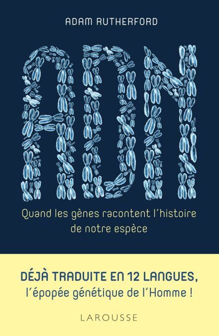 media/pim/49_6f0a84db-0031-4fc7-8043-45be5da2e99c.jpeg