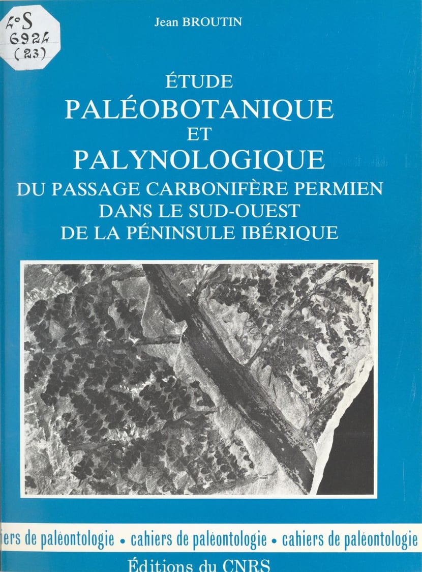 media/pim/49_metadata-image-18823674.jpeg