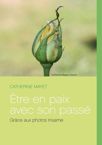 media/pim/49_metadata-image-34902246.jpeg