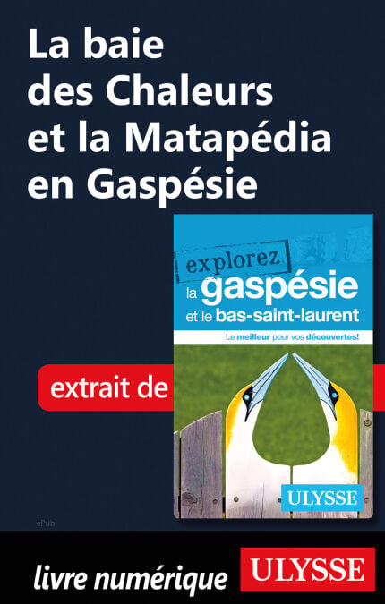 media/pim/4_0d90862c-517d-478e-bdf9-97822021a8ab.jpeg