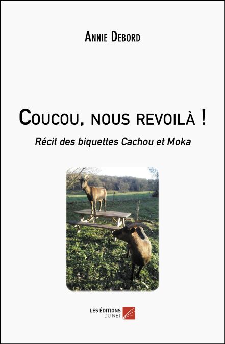 media/pim/4_153e2d75-4c47-43a1-b995-3a8769967134.jpeg