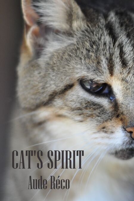 media/pim/4_b8f92aed-c7b5-4129-b187-20d5ba3feb39.jpeg