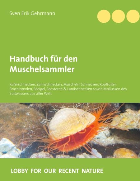 media/pim/4_dbbce275-fa29-4590-a3fd-c773d01745f3.jpeg
