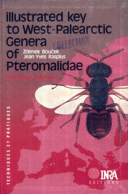 media/pim/4_metadata-image-1939306.png