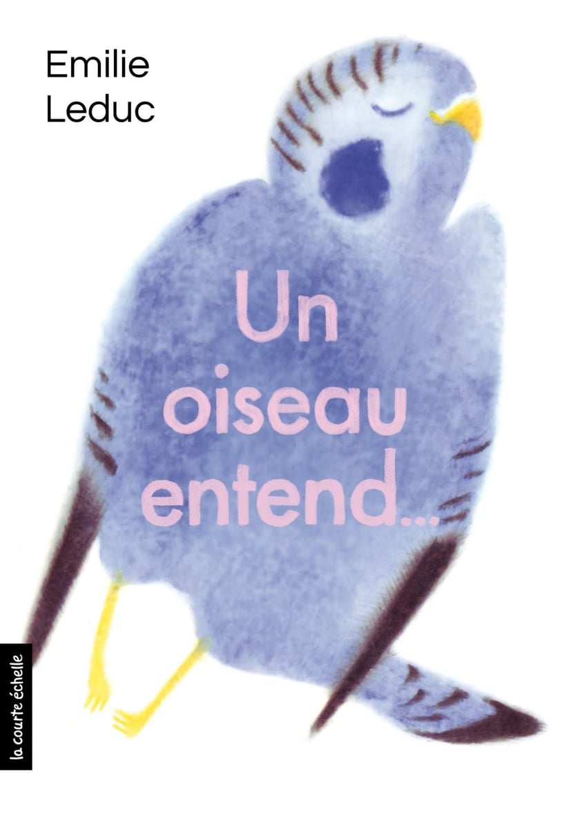 media/pim/4_metadata-image-22247721.jpeg