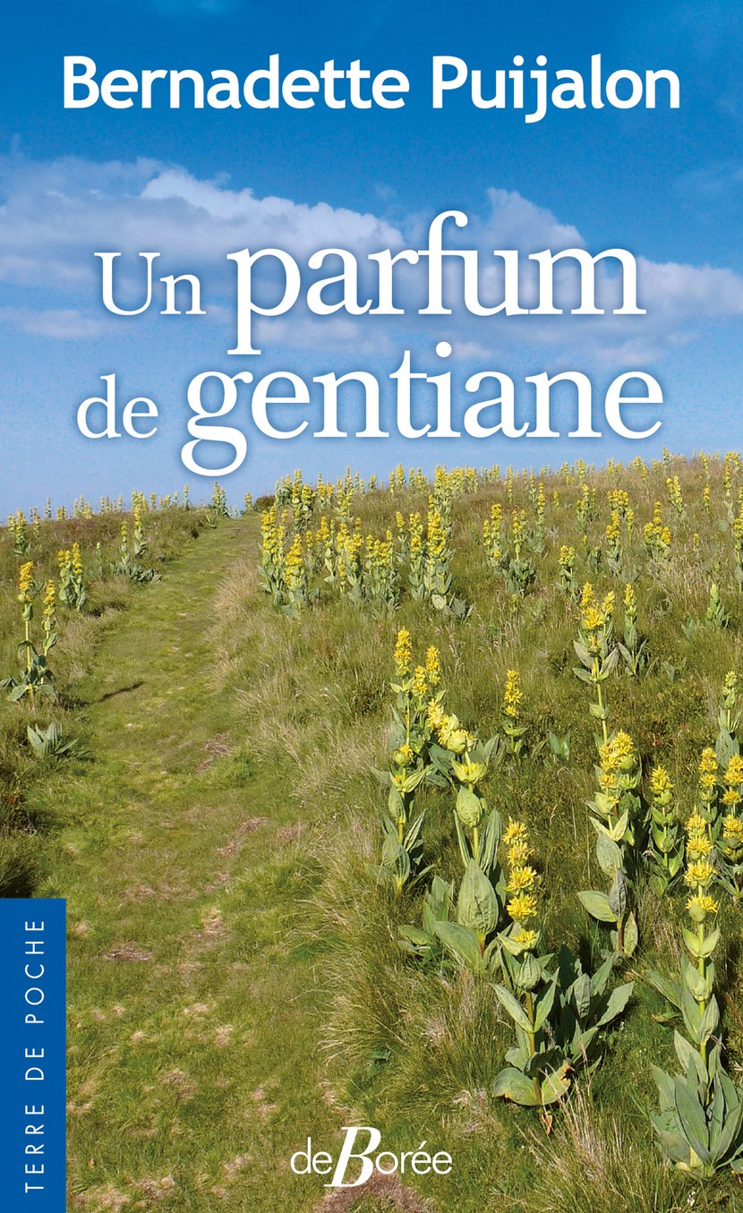 media/pim/4_metadata-image-45874746.png