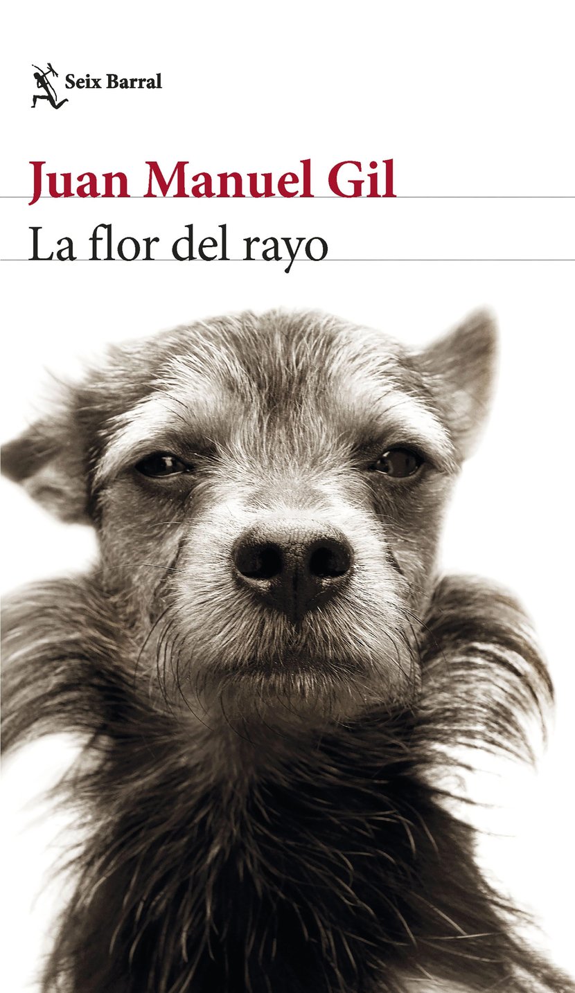 media/pim/4_metadata-image-66135992.jpeg
