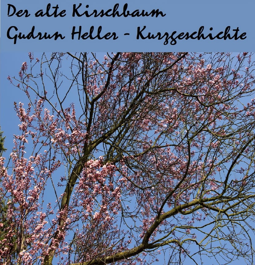 media/pim/4_metadata-image-70959951.jpeg