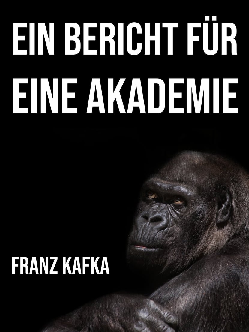 media/pim/4_metadata-image-70982698.jpeg