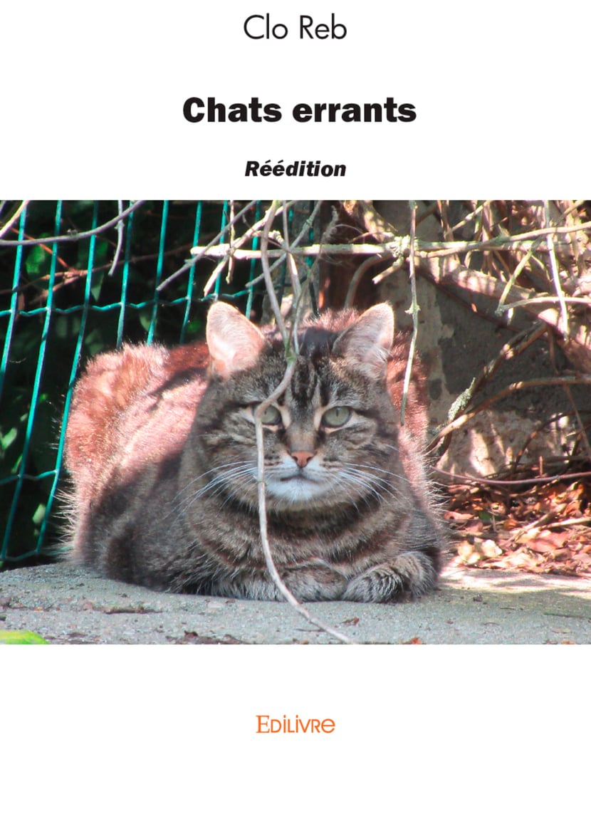 media/pim/4_metadata-image-77669850.png