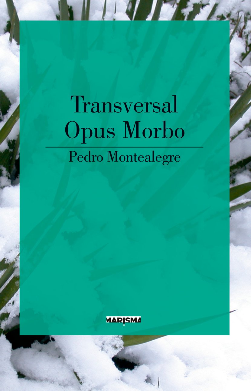 media/pim/4_standalone-image-1688839.jpg