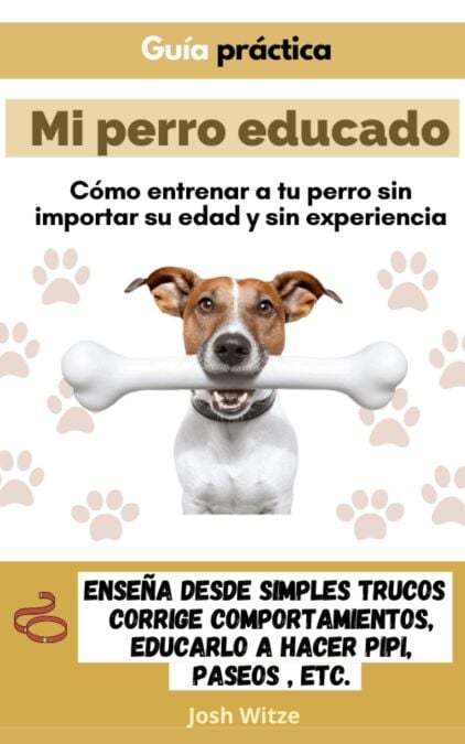media/pim/50_2cd98146-1d78-4448-be71-fe733bf01f14.jpeg