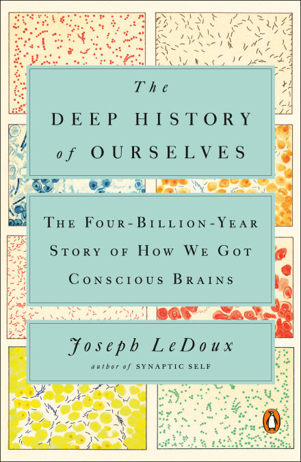 media/pim/50_3a2c393a-6848-4f01-a897-260ede09b75a.jpeg