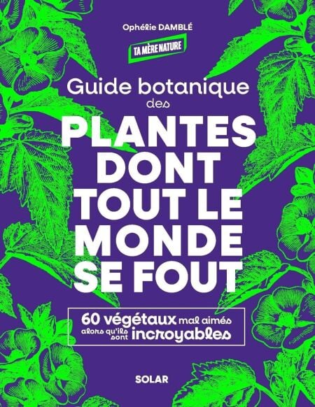 media/pim/50_9277010c-0a01-4e78-bb14-247981841f06.jpeg
