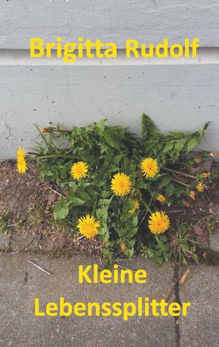media/pim/50_metadata-image-22752136.jpeg