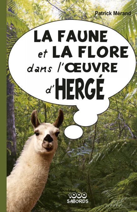 media/pim/50_metadata-image-69789012.jpeg