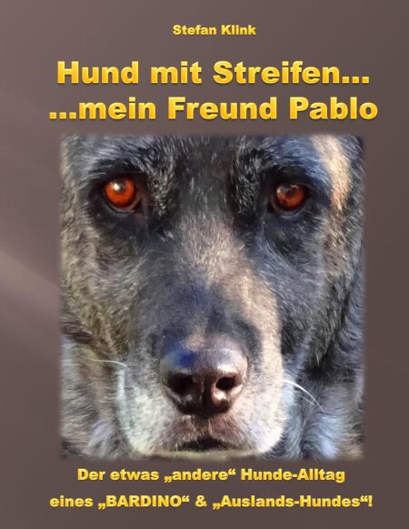 media/pim/50_metadata-image-70963986.jpeg