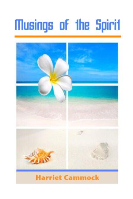 media/pim/51_882a7811-a5ba-4d35-8a82-1a630532cc76.jpeg