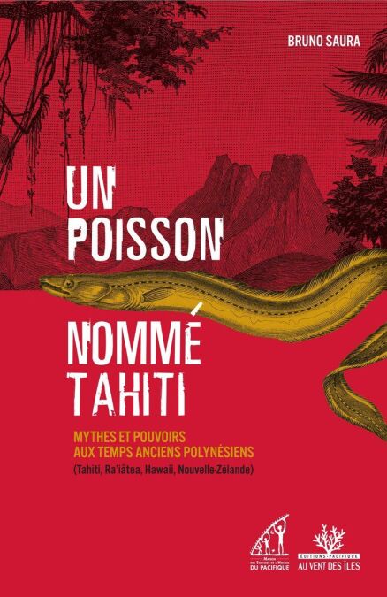 media/pim/51_e779ab82-0995-4b2e-8665-dd150e659561.jpeg
