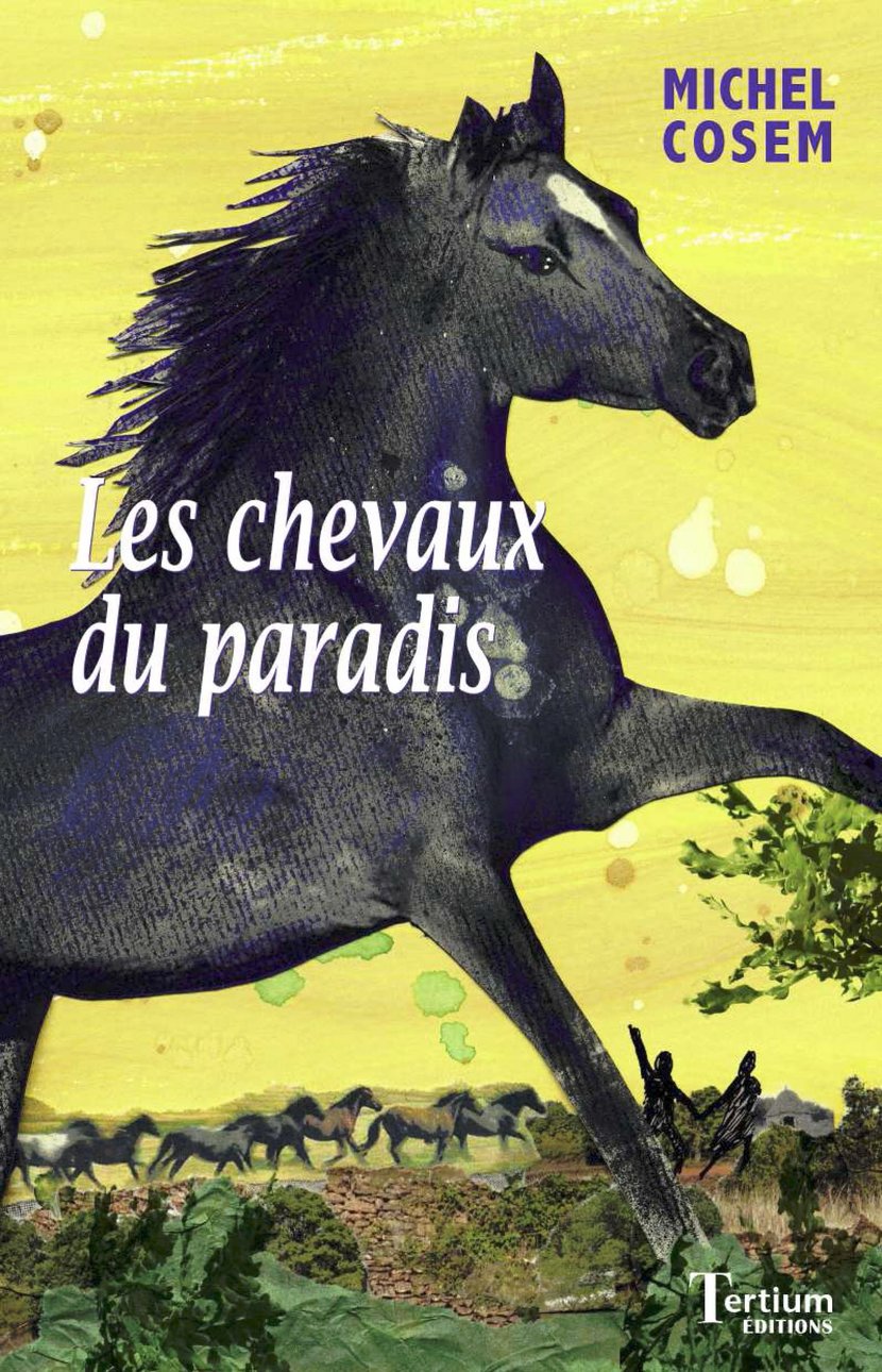 media/pim/51_metadata-image-3275905.png