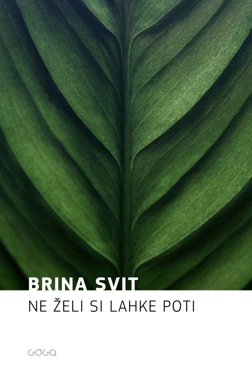 media/pim/51_metadata-image-56307149.png