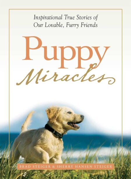 media/pim/52_4c15a04d-d6de-4d06-89f2-86312133afbc.jpeg