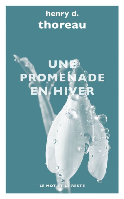 media/pim/52_c60aeb3d-4958-439b-9aca-c3cae46cb879.jpeg