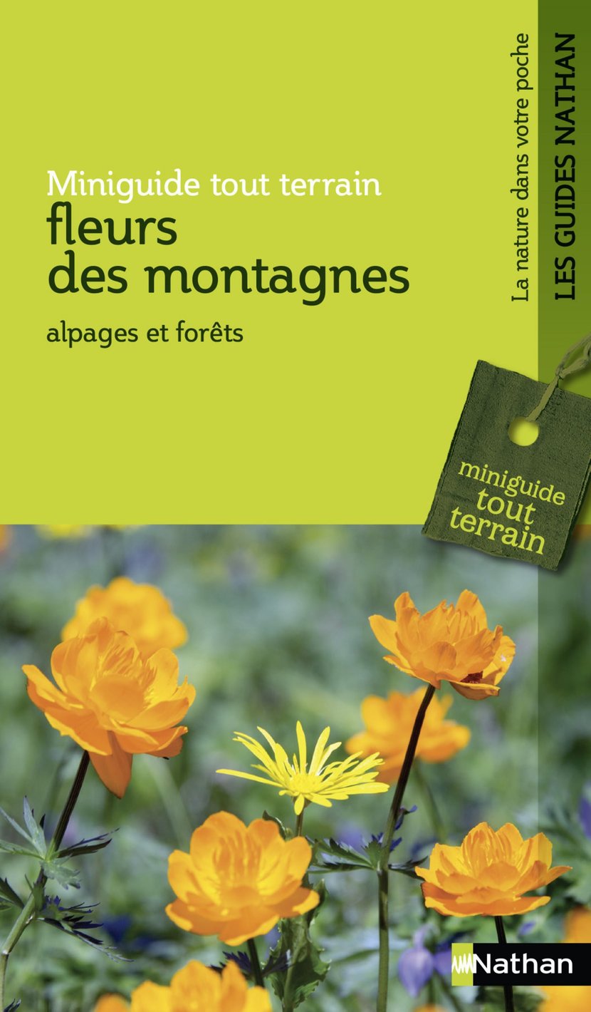 media/pim/52_metadata-image-55243037.jpeg